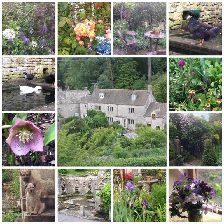 Dove Cottage Bisley  Kültér fotó